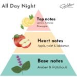 All Day Night- Effortless versatility. Distinct character. 50 ml - Image 9