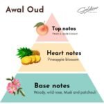 Awal Oud (Unisex): Refined warmth. Unspoken confidence. 100 ml - Image 5